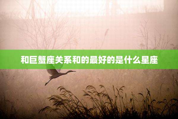 和巨蟹座关系和的最好的是什么星座