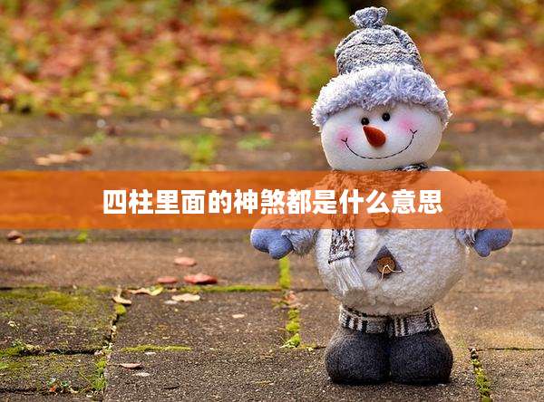 四柱里面的神煞都是什么意思