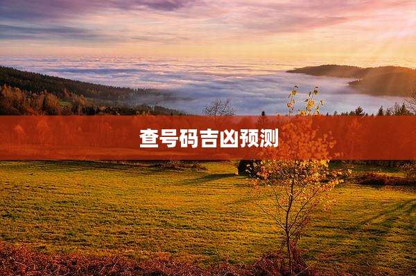 查号码吉凶预测