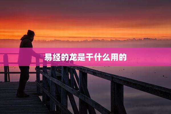 易经的龙是干什么用的
