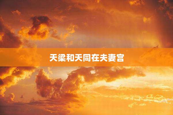 天梁和天同在夫妻宫