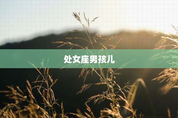 处女座男孩儿