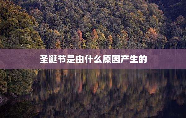 圣诞节是由什么原因产生的