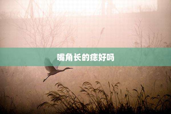 嘴角长的痣好吗