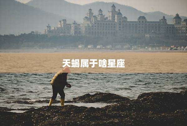天蝎属于啥星座