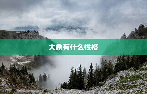 大象有什么性格
