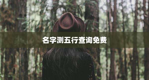 名字测五行查询免费