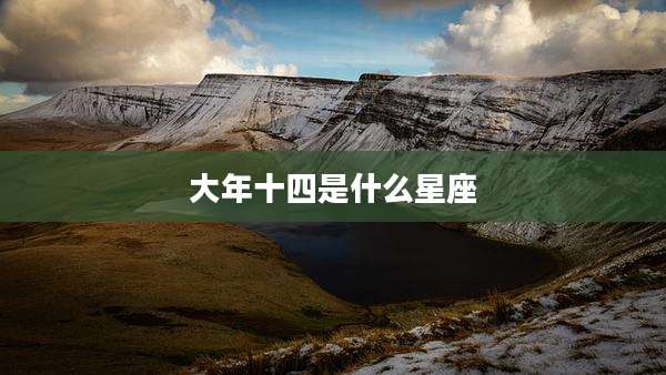 大年十四是什么星座