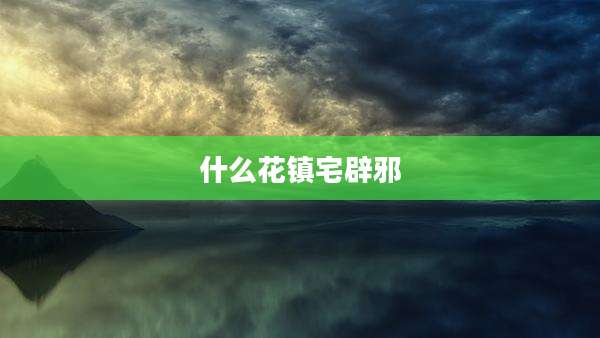 什么花镇宅辟邪