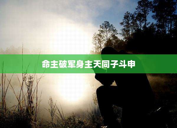 命主破军身主天同子斗申