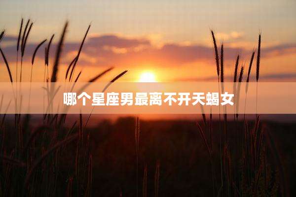 哪个星座男最离不开天蝎女