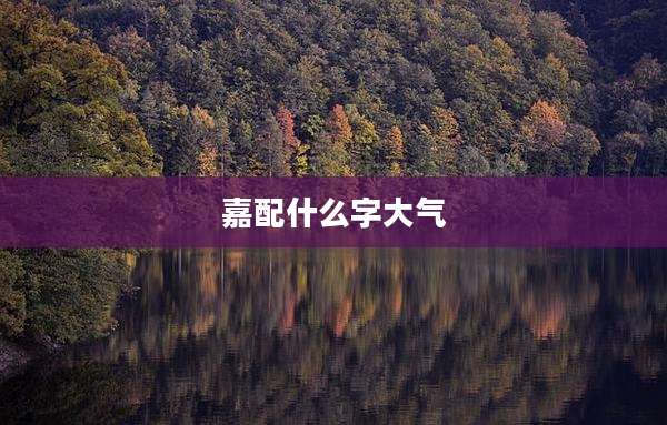 嘉配什么字大气