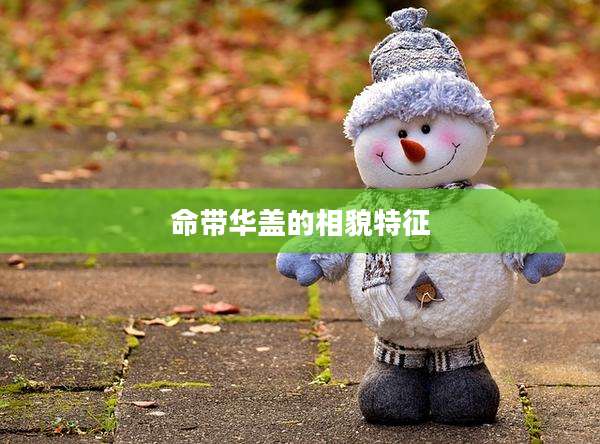 命带华盖的相貌特征
