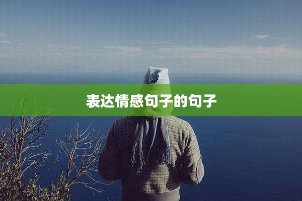 表达情感句子的句子