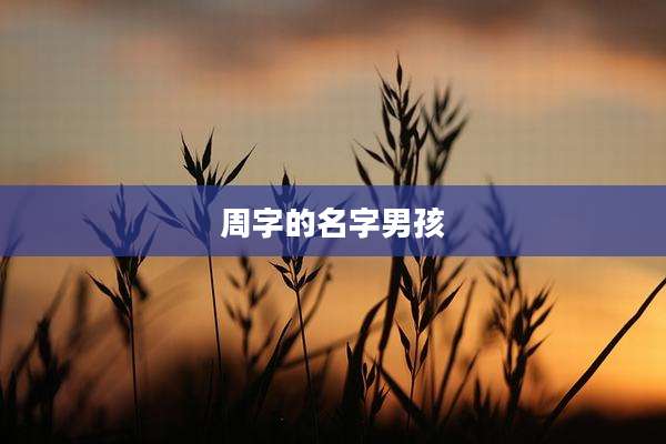 周字的名字男孩
