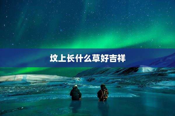 坟上长什么草好吉祥