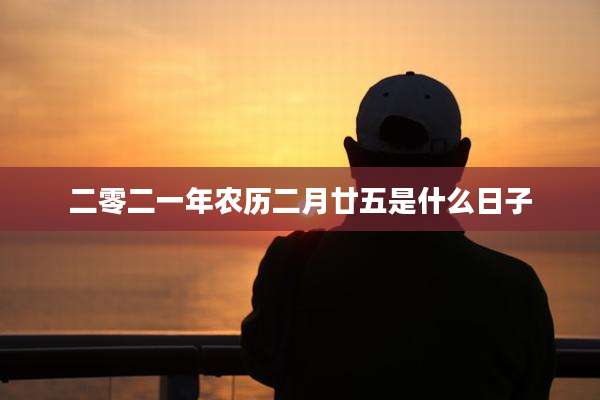 二零二一年农历二月廿五是什么日子