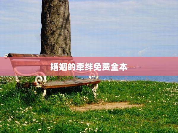 婚姻的牵绊免费全本