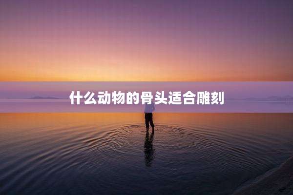 什么动物的骨头适合雕刻