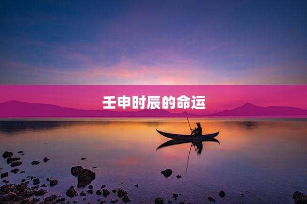 壬申时辰的命运