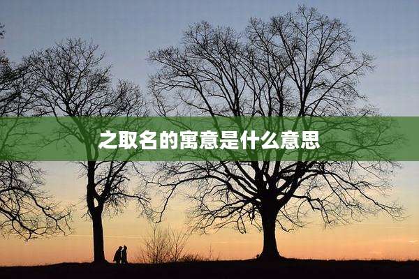 之取名的寓意是什么意思