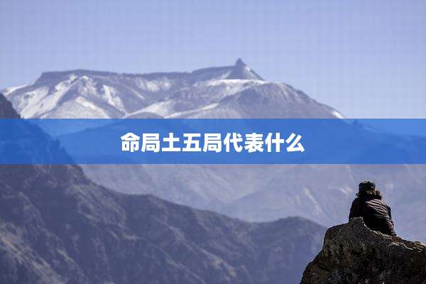 命局土五局代表什么