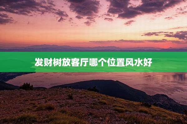 发财树放客厅哪个位置风水好