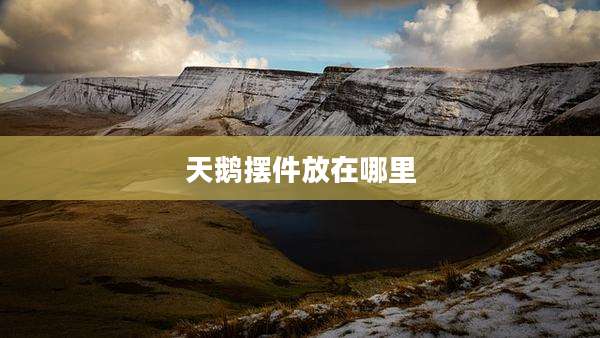 天鹅摆件放在哪里