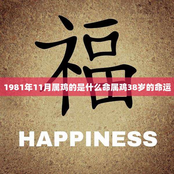 1981年11月属鸡的是什么命属鸡38岁的命运