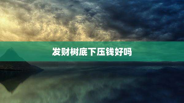 发财树底下压钱好吗
