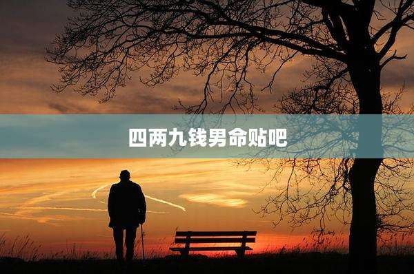 四两九钱男命贴吧