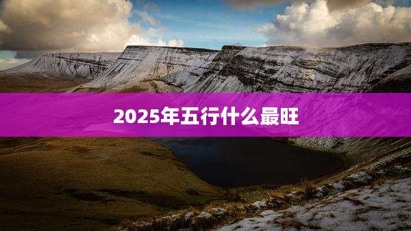 2025年五行什么最旺