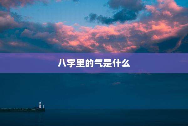 八字里的气是什么