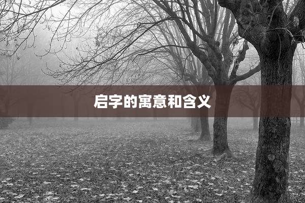启字的寓意和含义