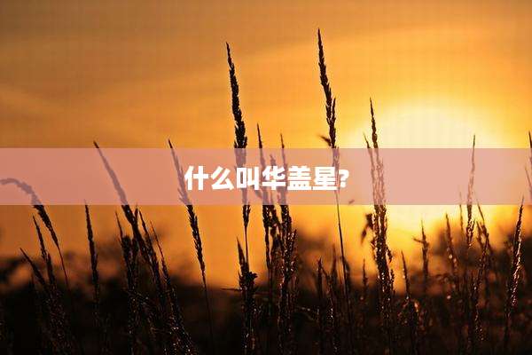 什么叫华盖星?