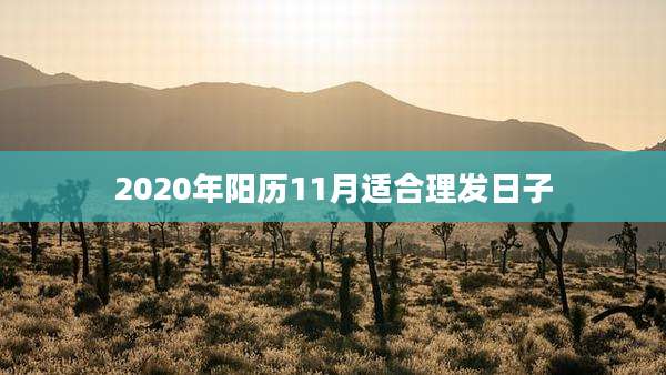 2020年阳历11月适合理发日子