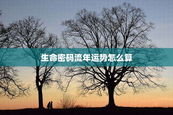 生命密码流年运势怎么算