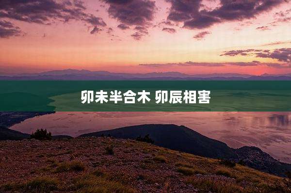 卯未半合木 卯辰相害