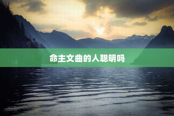 命主文曲的人聪明吗