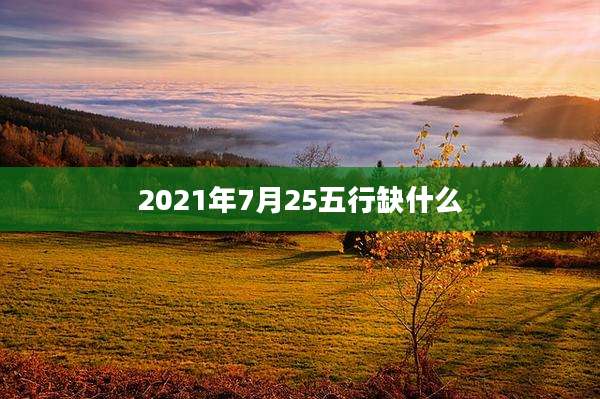 2021年7月25五行缺什么
