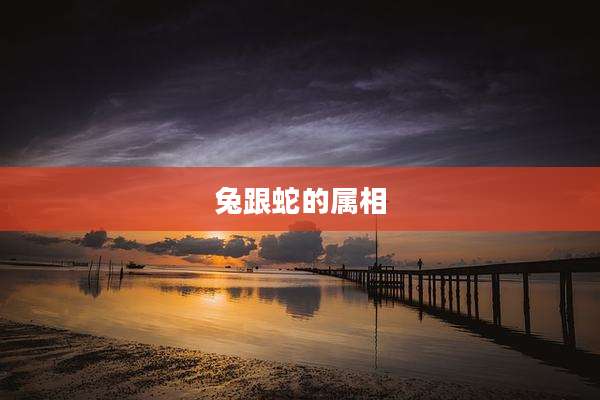 兔跟蛇的属相