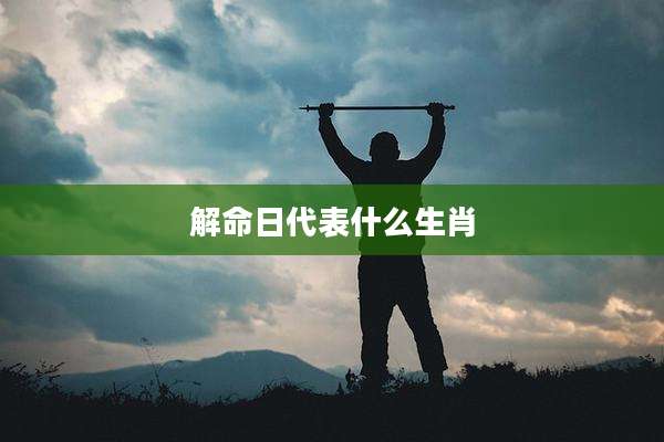 解命日代表什么生肖