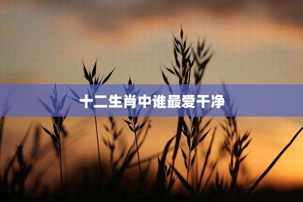 十二生肖中谁最爱干净