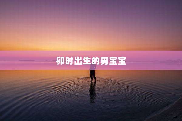 卯时出生的男宝宝