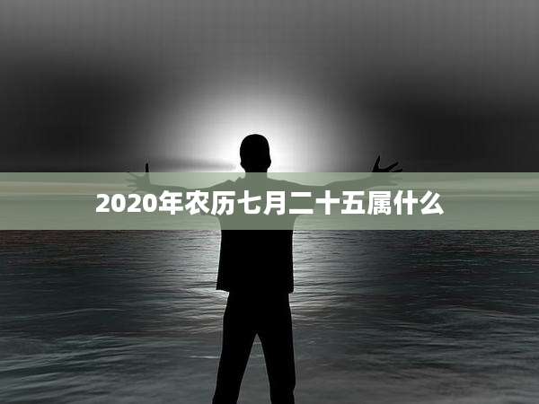 2020年农历七月二十五属什么