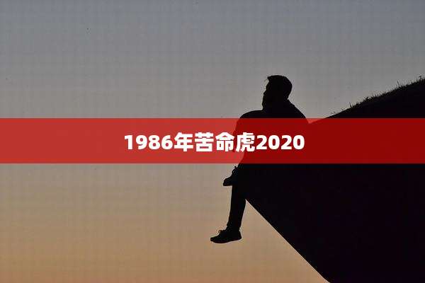 1986年苦命虎2020