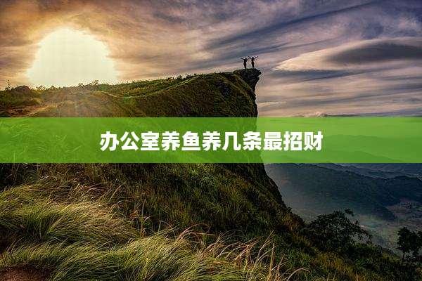 办公室养鱼养几条最招财