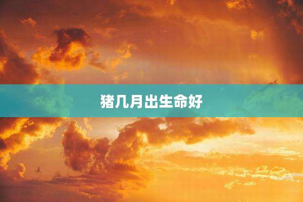 猪几月出生命好