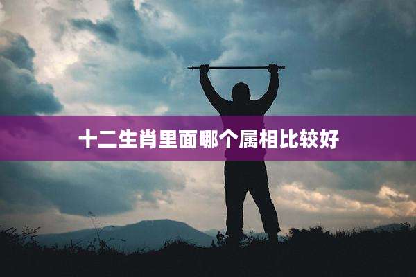 十二生肖里面哪个属相比较好