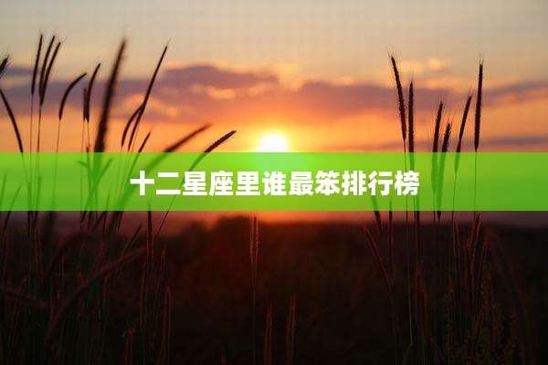十二星座里谁最笨排行榜